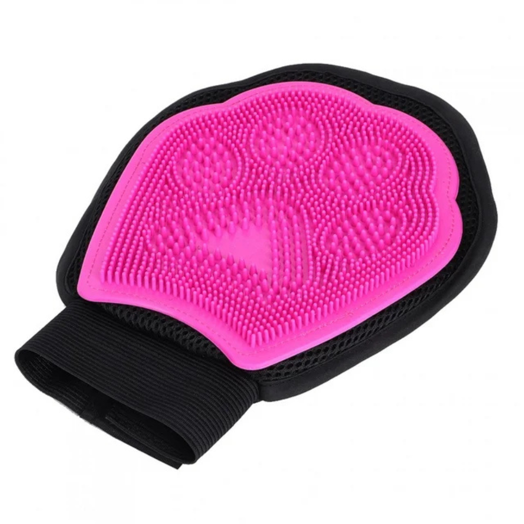 Pawsh India - Starter Joy Box