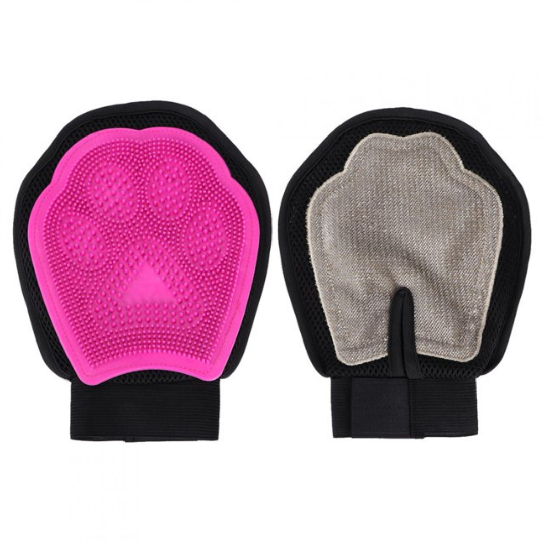 Dog Washer and Cleaning