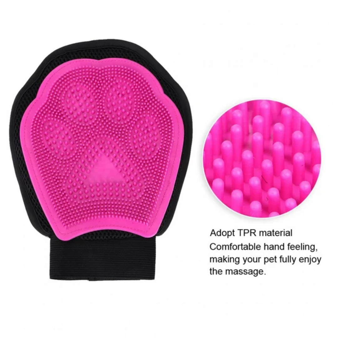 Dog Washer and Cleaning