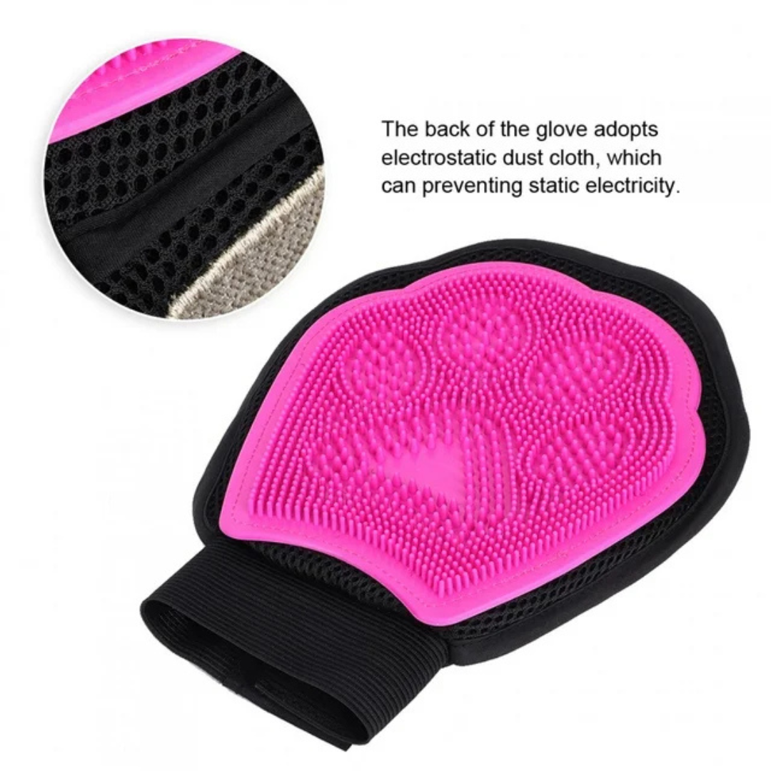 Dog Washer and Cleaning