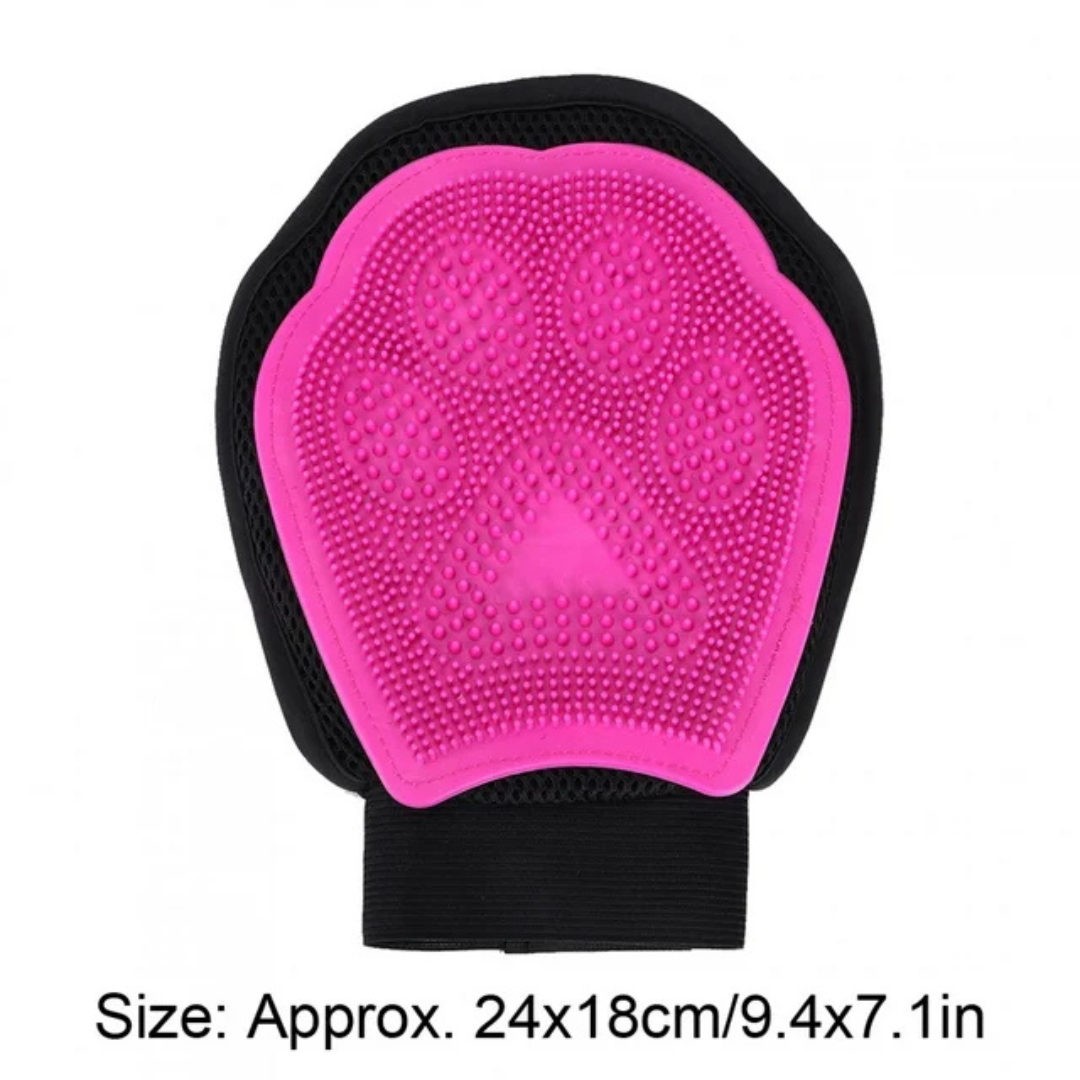 Dog Washer and Cleaning