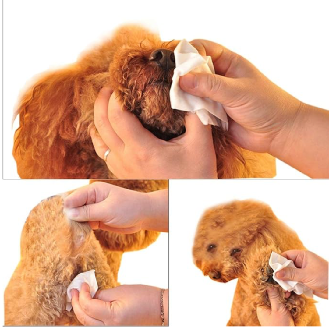 Pet Wet Wipes for Dogs & Cats 🐾