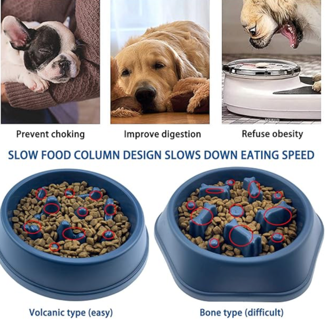 Dog Slow Feeding Bowl