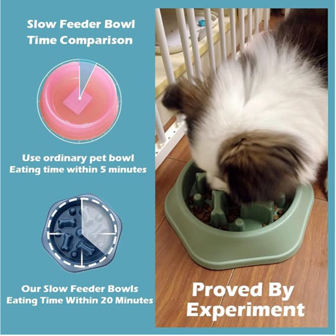 Dog Slow Feeding Bowl