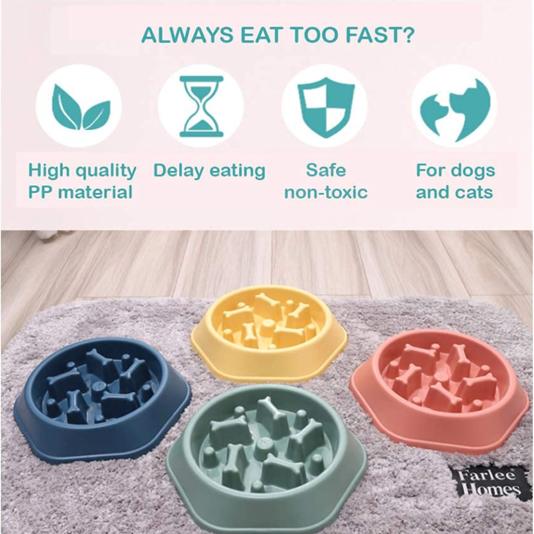 Dog Slow Feeding Bowl