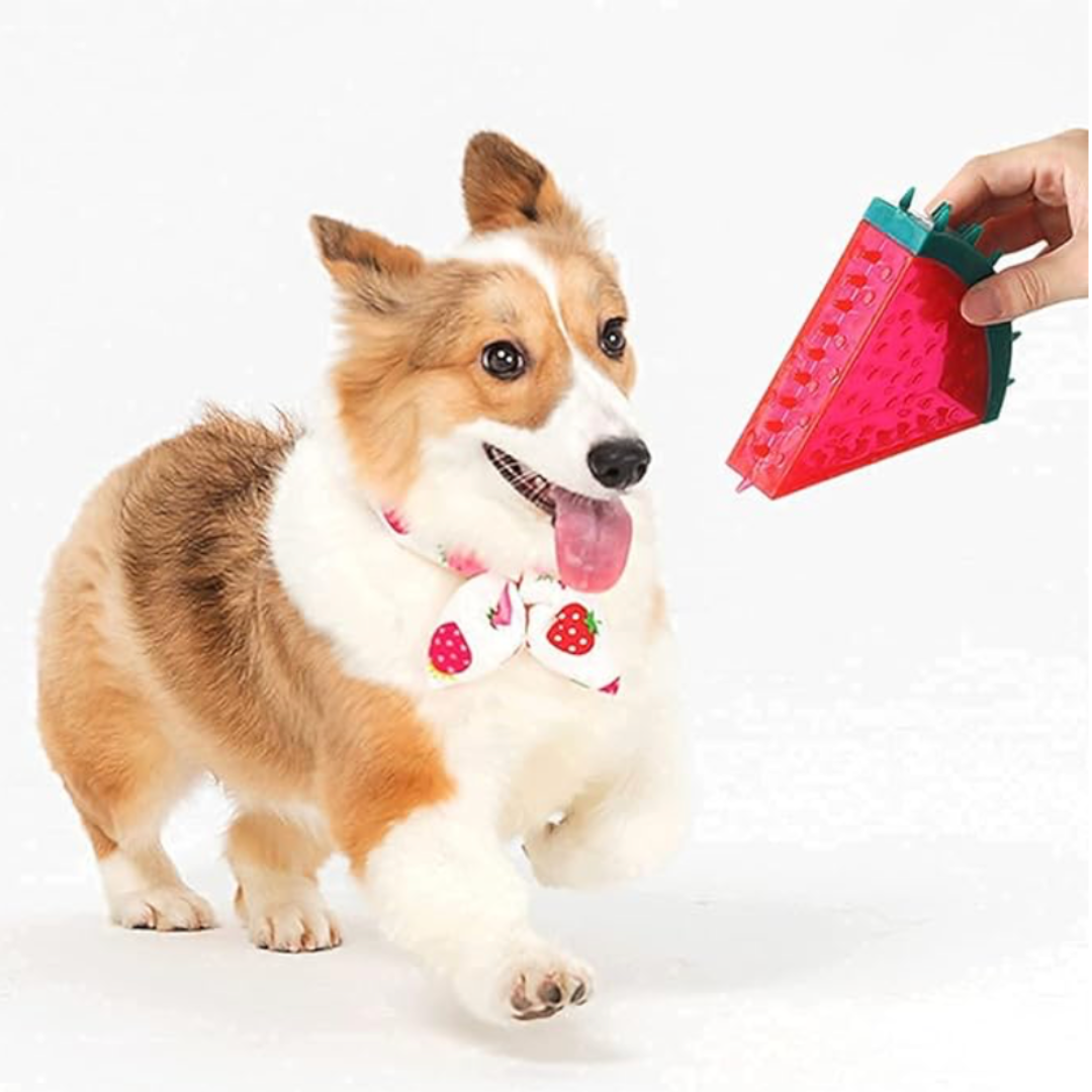Watermelon Chew Toy for Dogs 🍉