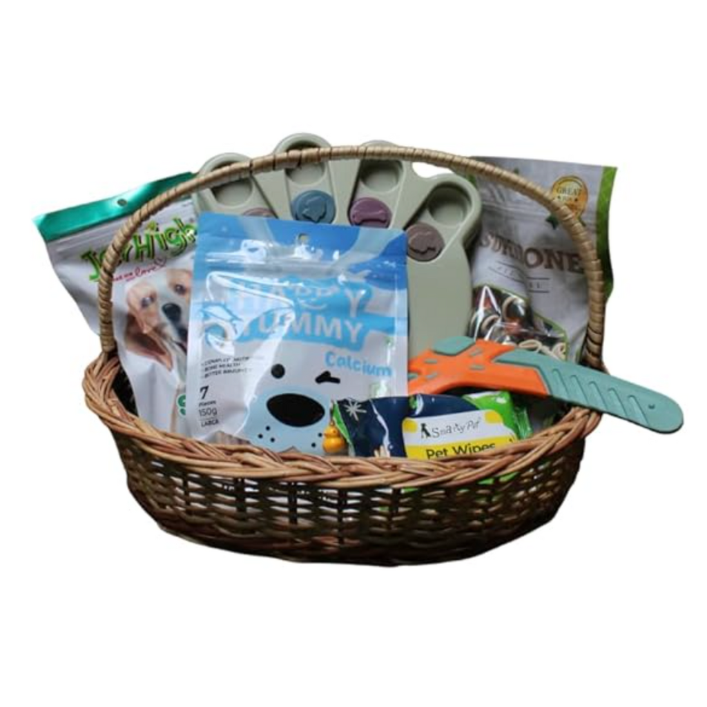 Pawsh India - Active Pup Pack