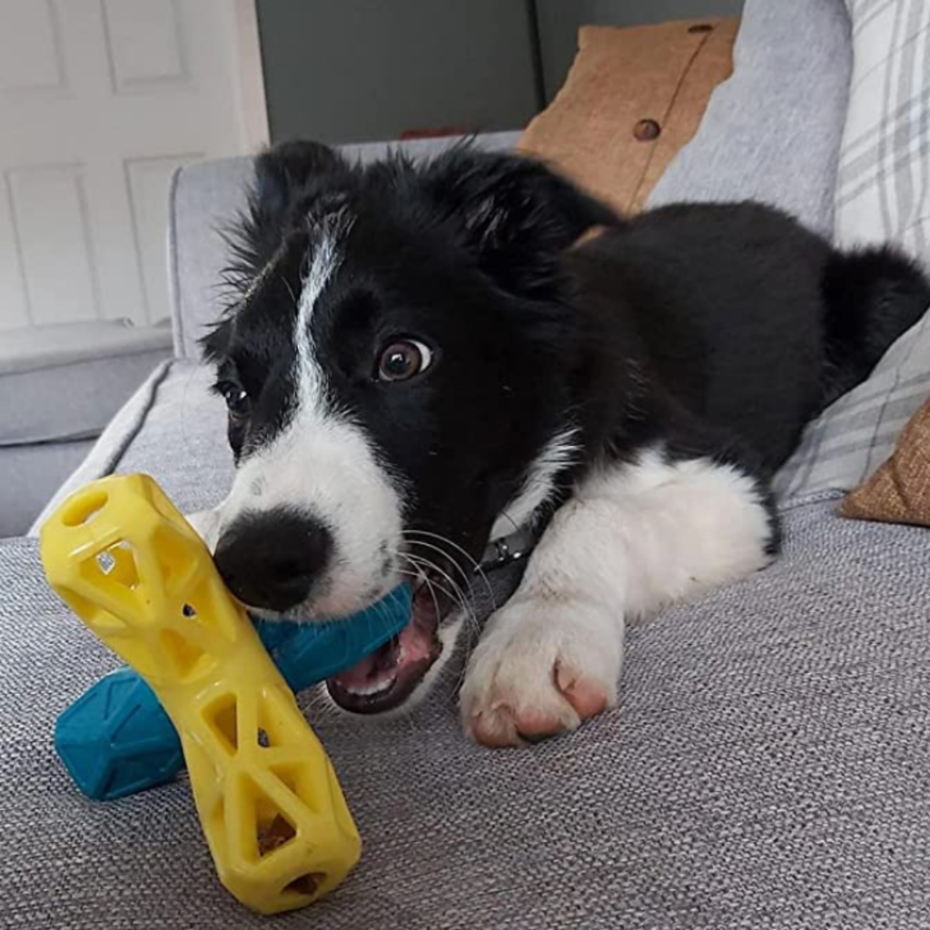 Fun 'n' Play- 4 Leg Jack