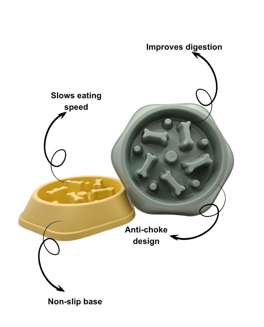 Dog Slow Feeding Bowl