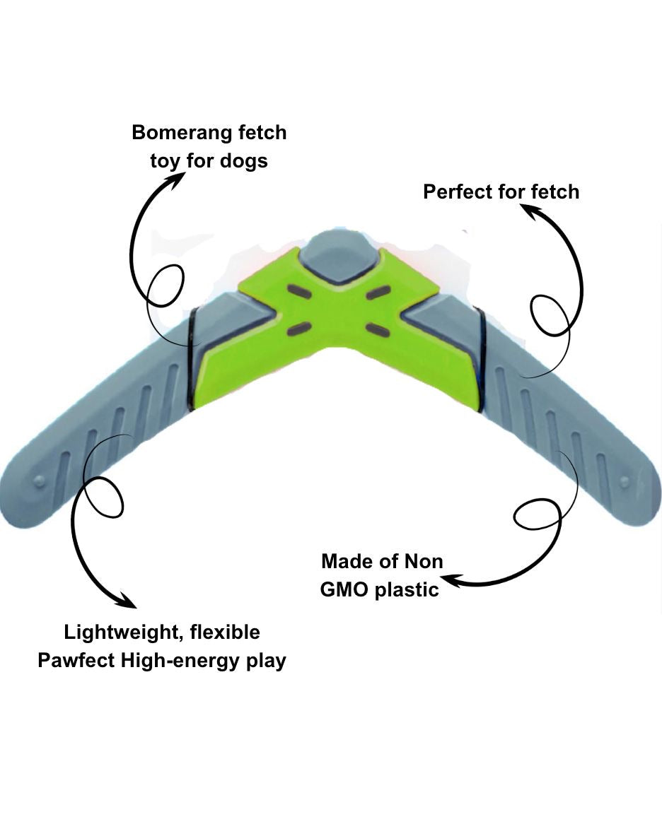 Boomerang for Dogs