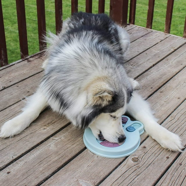 Smart Dog Feeder Game