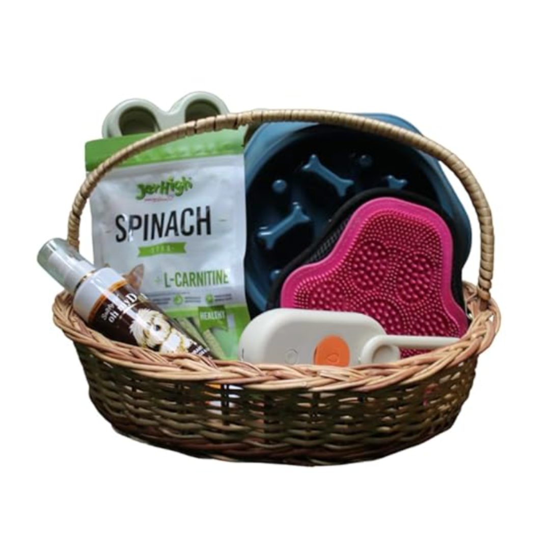 Pawsh India - Special Comfort Box