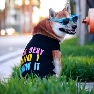 I'm Sexy and I know it